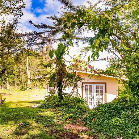 Puni Mauka B 31 Plus Day Rental